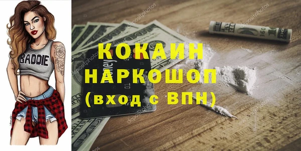 крисы Новозыбков