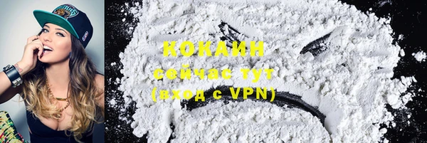 мдпв Новодвинск