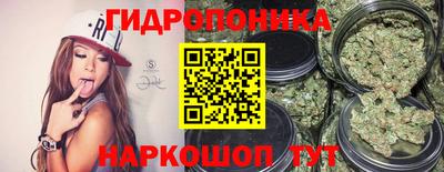 индика Краснознаменск