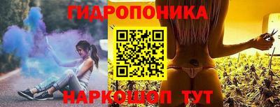 индика Краснознаменск