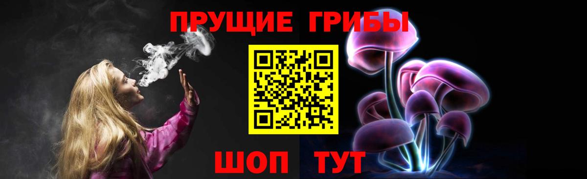 Кострома  Галлюциногенные грибы Magic Shrooms  Вход с VPN 