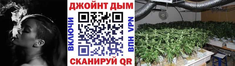 как найти закладки  shop состав  Бошки марихуана гибрид  Кострома 